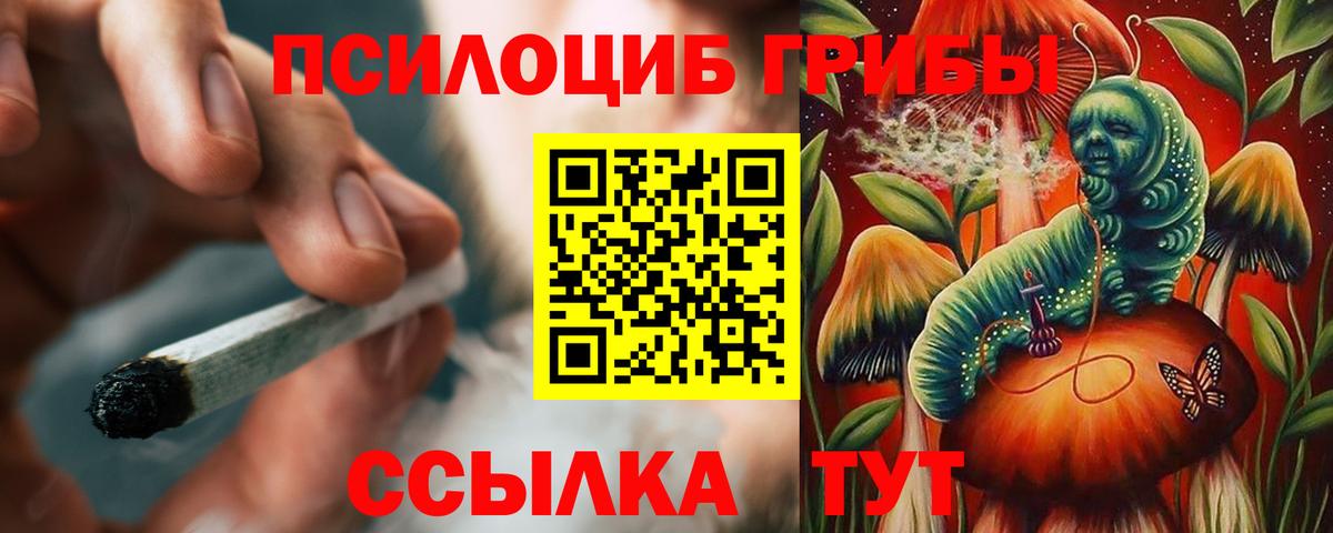 Галлюциногенные грибы Psilocybine cubensis Кинель